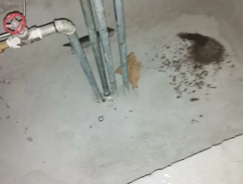 鄂州市卫生间测漏水价格明细