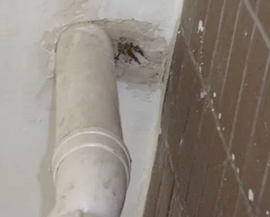 鄂州市漏水检测哪家好